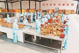 重慶日?qǐng)?bào)鄉(xiāng)村振興周刊 重慶農(nóng)產(chǎn)品加工業(yè)如何走上 快車道